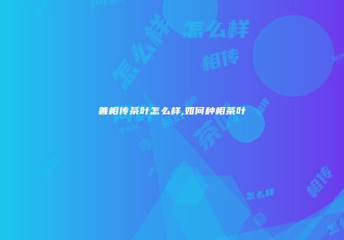 善相传茶叶怎么样,如何种相茶叶