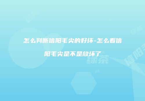 怎么判断信阳毛尖的好坏-怎么看信阳毛尖是不是放坏了