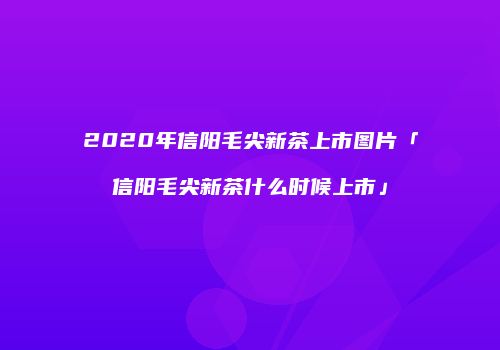 2020年信阳毛尖新茶上市图片「信阳毛尖新茶什么时候上市」