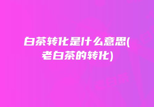 白茶转化是什么意思(老白茶的转化)