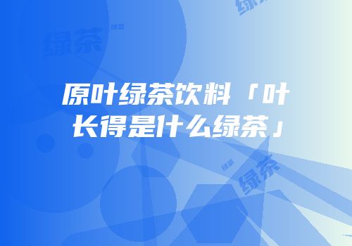 原叶绿茶饮料「叶长得是什么绿茶」
