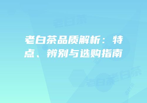 老白茶品质解析：特点、辨别与选购指南
