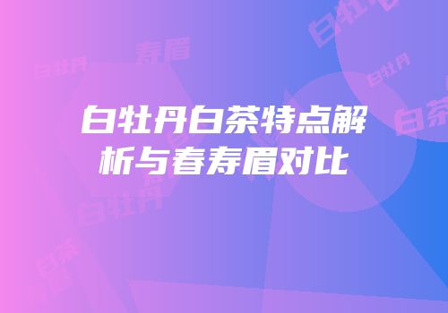 白牡丹白茶特点解析与春寿眉对比