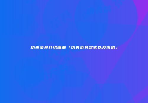 功夫茶具介绍图解「功夫茶具款式以及价格」