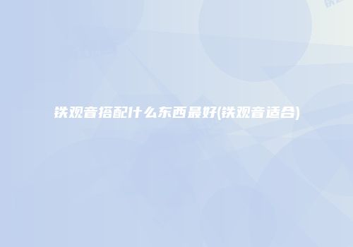 铁观音搭配什么东西最好(铁观音适合)