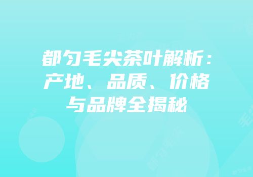 都匀毛尖茶叶解析：产地、品质、价格与品牌全揭秘