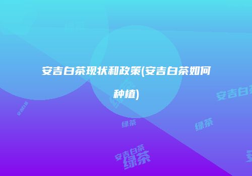 安吉白茶现状和政策(安吉白茶如何种植)