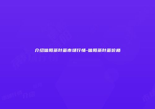 介绍信阳茶叶苗市场行情-信阳茶叶苗价格