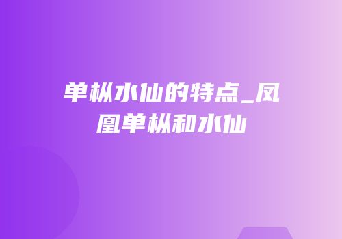 单枞水仙的特点_凤凰单枞和水仙