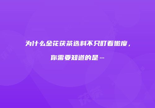 为什么金花茯茶选料不只盯着嫩度，你需要知道的是…