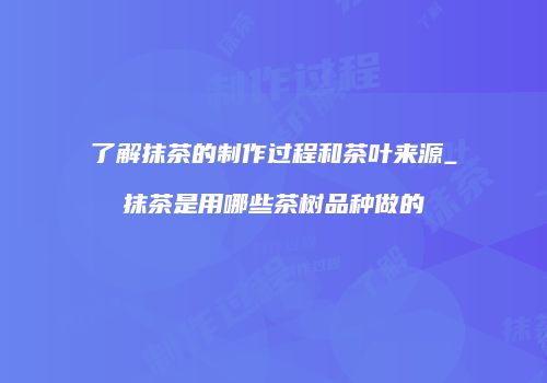 了解抹茶的制作过程和茶叶来源_抹茶是用哪些茶树品种做的