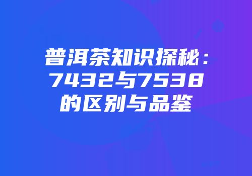 普洱茶知识探秘：7432与7538的区别与品鉴