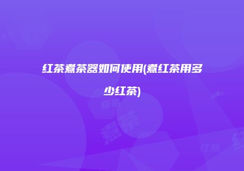 红茶煮茶器如何使用(煮红茶用多少红茶)