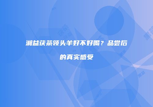 湘益茯茶领头羊好不好喝？品尝后的真实感受