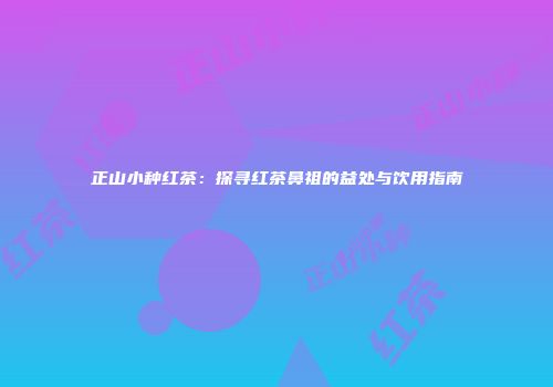 正山小种红茶：探寻红茶鼻祖的益处与饮用指南