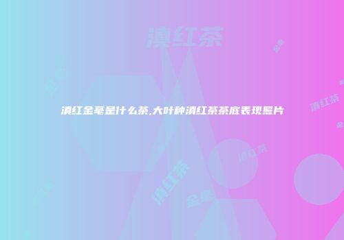 滇红金毫是什么茶,大叶种滇红茶茶底表现照片