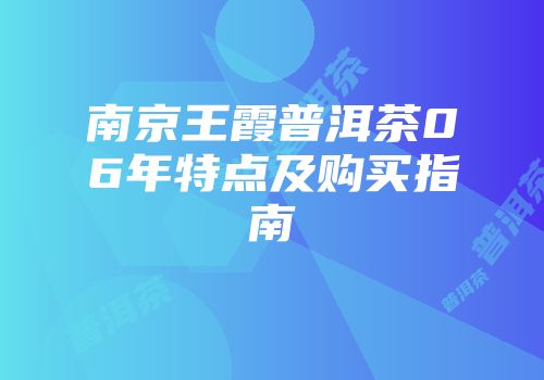 南京王霞普洱茶06年特点及购买指南