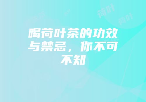喝荷叶茶的功效与禁忌，你不可不知