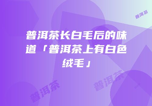 普洱茶长白毛后的味道「普洱茶上有白色绒毛」