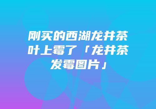 刚买的西湖龙井茶叶上霉了「龙井茶发霉图片」