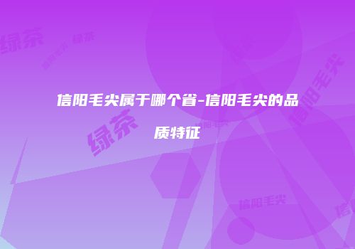 信阳毛尖属于哪个省-信阳毛尖的品质特征