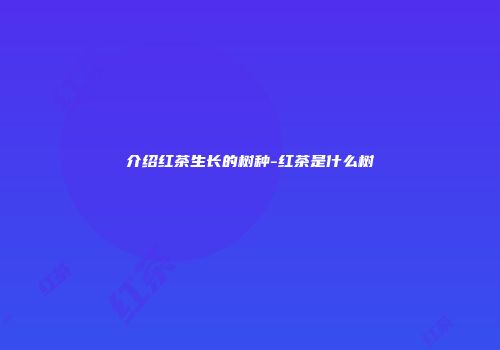 介绍红茶生长的树种-红茶是什么树
