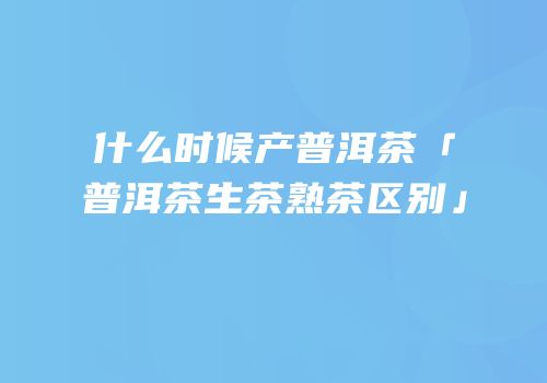 什么时候产普洱茶「普洱茶生茶熟茶区别」