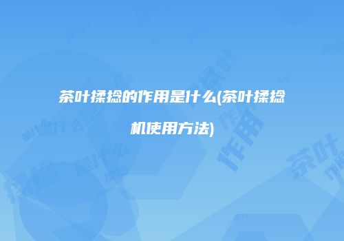 茶叶揉捻的作用是什么(茶叶揉捻机使用方法)