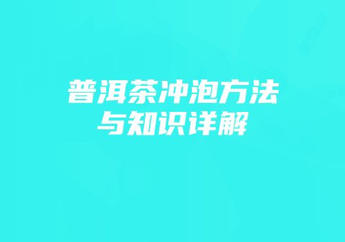 普洱茶冲泡方法与知识详解