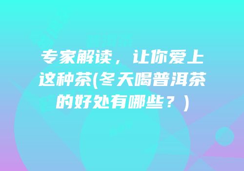 专家解读，让你爱上这种茶(冬天喝普洱茶的好处有哪些？)