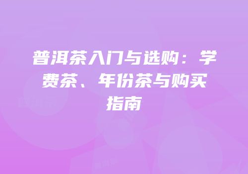 普洱茶入门与选购：学费茶、年份茶与购买指南