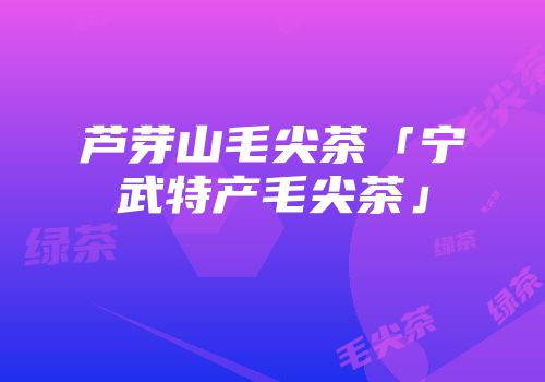 芦芽山毛尖茶「宁武特产毛尖茶」