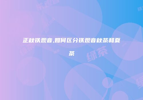 正秋铁观音,如何区分铁观音秋茶和夏茶