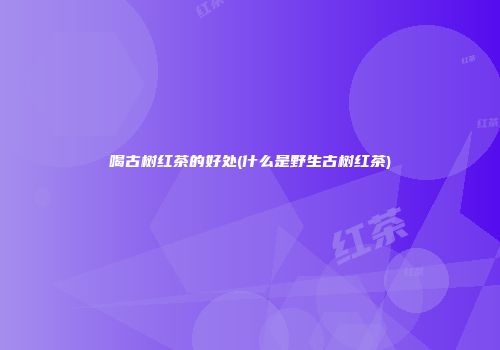 喝古树红茶的好处(什么是野生古树红茶)