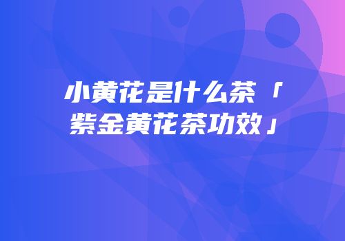 小黄花是什么茶「紫金黄花茶功效」