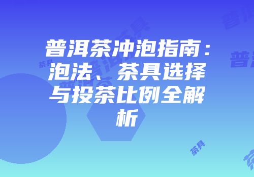 普洱茶冲泡指南：泡法、茶具选择与投茶比例全解析