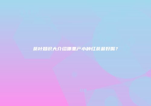 茶叶知识大介绍哪里产小种红茶最好喝？