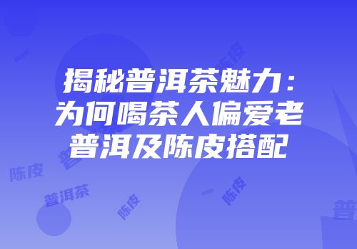 揭秘普洱茶魅力：为何喝茶人偏爱老普洱及陈皮搭配