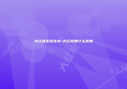 大红袍怎样注水-大红袍用什么水泡