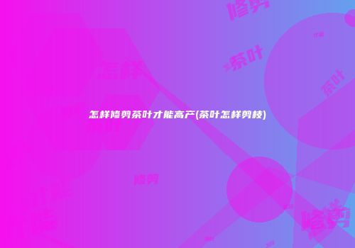 怎样修剪茶叶才能高产(茶叶怎样剪枝)