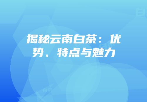 揭秘云南白茶：优势、特点与魅力