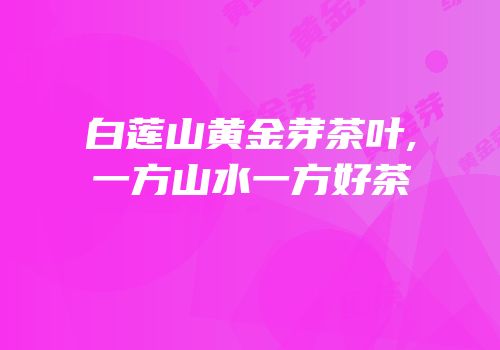 白莲山黄金芽茶叶,一方山水一方好茶