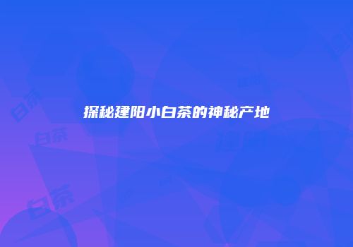 探秘建阳小白茶的神秘产地