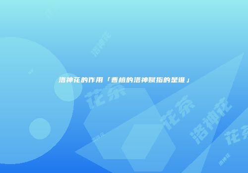 洛神花的作用「曹植的洛神赋指的是谁」