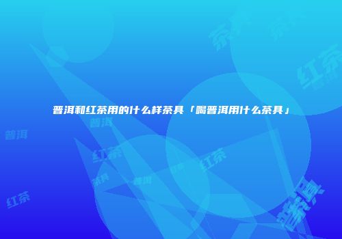 普洱和红茶用的什么样茶具「喝普洱用什么茶具」