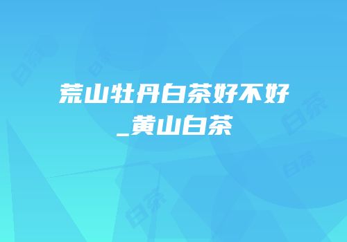 荒山牡丹白茶好不好_黄山白茶
