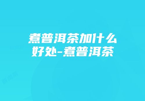 煮普洱茶加什么好处-煮普洱茶