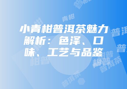 小青柑普洱茶魅力解析：色泽、口味、工艺与品鉴