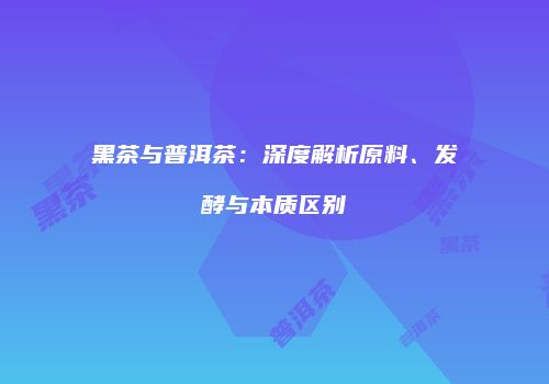 黑茶与普洱茶：深度解析原料、发酵与本质区别