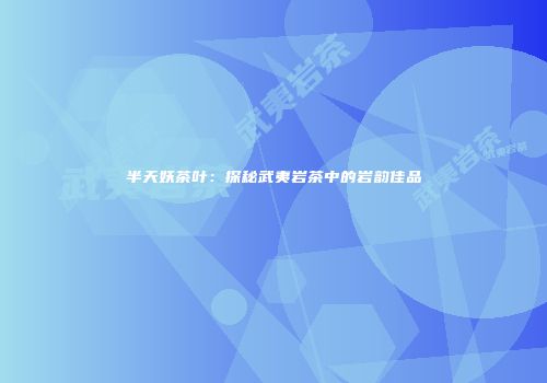半天妖茶叶：探秘武夷岩茶中的岩韵佳品
